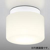 オーデリック LEDバスルームライト 防湿型 口金E17 温白色 ねじ込式 壁面・天井面・傾斜面取付兼用 非調光タイプ OW009296WR | 電材堂ヤフー店