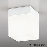 オーデリック LEDバスルームライト 防雨・防湿型 口金E17 温白色 ねじ込式 壁面・天井面・傾斜面取付兼用 非調光タイプ OW009421WR | 電材堂ヤフー店