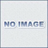 岩田製作所 トリムシール 4100 B 3x48ct L56 黒 Cタイプ 人気激安 4100シリーズ