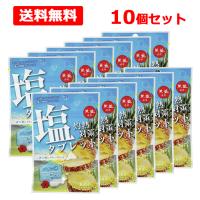 【在庫限り】【送料無料】【 赤穂化成 】 灼熱対策 塩タブレット パイン味 28g×10個セット 天塩 熱中症対策 塩分 汗 クエン酸 | エナジードラッグ2号店
