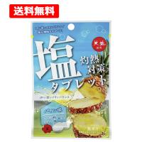 【在庫限り】【送料無料】【 赤穂化成 】 灼熱対策 塩タブレット パイン味 28g 天塩 熱中症対策 塩分 汗 クエン酸 | エナジードラッグ2号店
