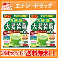 【山本漢方製薬】【送料無料！2個セット！】　乳酸菌 大麦若葉粉末　スティックタイプ　4g×60包入　【おいしい青汁】 | やまちゃんショップ