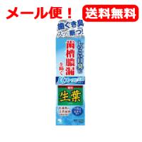 【小林製薬】【メール便！送料無料】生葉Ｉ　息スーッと実感　100g | やまちゃんショップ