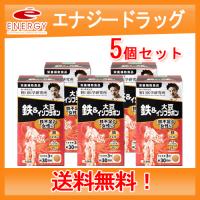 【野口医学研究所】鉄＆大豆イソフラボン （250mg×90粒）約30日分【栄養補助食品】送料無料・5個セット | エナジードラッグ