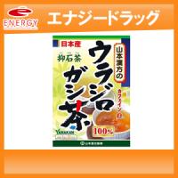 山本漢方　ウラジロガシ茶100%　5g×20包【リニューアルパッケージ！】 | エナジードラッグ