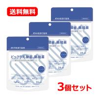 【送料無料・3個セット】【井藤漢方】どっさり乳酸菌と酪酸菌 2g×24袋 24日分 乳酸菌 ビフィズス菌 オリゴ糖 ヨーグルト味 サプリメント【健康補助食品】 | エナジードラッグ1号店