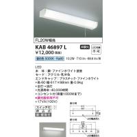 コイズミ  KAB46897L  流し元灯/FL20W相当ひもスイッチ付・コンセント付/非調光50K  AB46897L | でんきサロンまてりある