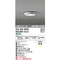 オーデリック  OG254525S  LEDポーチライト | でんきサロンまてりある