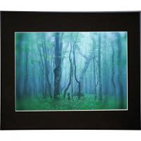 kenko ギヤラリ- A2 ブラツク AGY-A2-BK〈AGYA2-BK〉 | デンキチWeb Yahoo!店