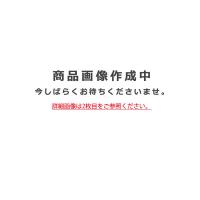 ★オーデリック／「XG454048」屋外用LED投光器 LED一体型 昼白色 防雨型 水銀灯700W相当 マットシルバー／要工事 | でんきの王様