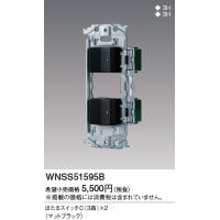 パナソニック【 WNSS51595B 】SO-STYLE 埋込スイッチセット(ほたるスイッチC×2)(マットブラック) | 電せつNねっと