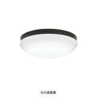 オーデリック OW269014NR 屋外用LED共用灯 防雨・防湿型  R15クラス2 FCL30W相当 昼白色 | 電材BLUEWOOD ヤフー店