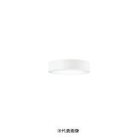 オーデリック OL291673NR 小型LEDシーリングライト 非調光 白熱灯100W相当 昼白色 | 電材BLUEWOOD ヤフー店