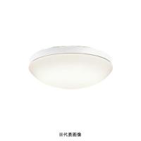 オーデリック OW269013LR 屋外用LED共用灯 防雨・防湿型  R15クラス2 FCL30W相当 電球色 | 電材ONLINE