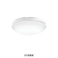 オーデリック OW269013NR 屋外用LED共用灯 防雨・防湿型  R15クラス2 FCL30W相当 昼白色 | 電材ONLINE
