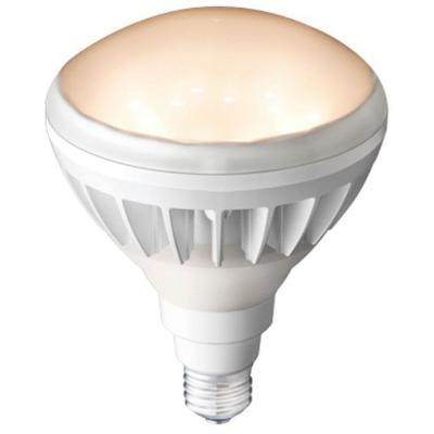 岩崎電気 LED電球、LED蛍光灯｜電球｜照明、電球｜家具、インテリア