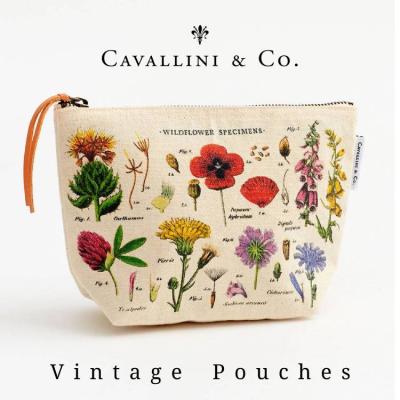 cavalliniのおすすめ人気商品一覧 通販 - Yahoo!ショッピング