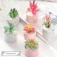 6種類選べる 人工多肉植物 2点セット ミニ 植物鉢植え 枯れない 観葉植物 室内 ホーム 庭 デコレーション インテリア プレゼント 可愛い 偽盆栽 装飾用 開店 Ls0490 Modanic 通販 Yahoo ショッピング