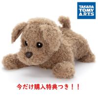 数量限定特典！タカラトミーアーツ もっとおりこうダッキー くまの子くーちゃんプレゼント中 | トキワダイレクト ヤフー店