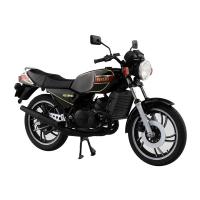 再販 スカイネット 1/12 Yamaha RZ250 ニューヤマハブラック 完成品バイク 【9月予約】 | でじたみん Yahoo!店