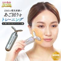 スタイリーフェイス 美容 美顔器 EMS フェイスライン 口元 目元 表情筋 デコルテ 二の腕 軽量 ディノス AR2773