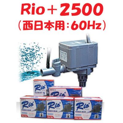 カミハタ rio 2500(ポンプ(水槽、アクアリウム用品))の商品 カミハタ rio 2500(ポンプ(水槽、アクアリウム用品))の商品