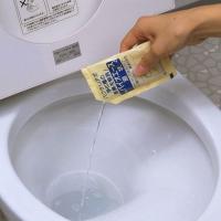 アズマ工業 バイオエース 液状 水洗トイレ用 1包50ml 166394 | DIY FACTORY ONLINE SHOP