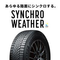 ※法人専用品※オールシーズンタイヤ SYNCHRO WEATHER オールシーズンタイヤ SYNCHRO WEATHER 255/45R19 104V XL 361468 1本 | DIY FACTORY ONLINE SHOP