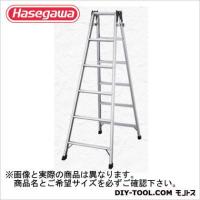 長谷川工業 はしご兼用脚立天板トレイ付天板高さ1.11m RC2.0-12 | DIY FACTORY ONLINE SHOP