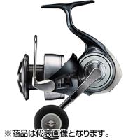 ダイワ(DAIWA) 24 セルテート LT5000D | dn-webshop