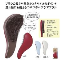 ツヤサラヘアブラシ　★120個単位で送料無料　　/身体/ケア/健康/コスメ/ビューティ/美容/景品/粗品/ノベルティ/販促/プチギフト | ギフト・景品のディーネットモール