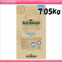 ブラックウッド5000なまず 7.05kg BLACKWOOD | DOGGLITTER