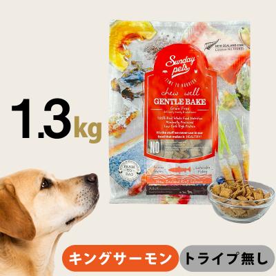 Sunday Pets 通販 - Yahoo!ショッピング