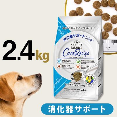ドクターズケア 犬の商品一覧 通販 - Yahoo!ショッピング