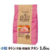 (選べるプレゼント付き) セレクトバランス キャット キトン チキン 小粒 1.6kg(穀物不使用 子猫 仔猫 授乳期 皮膚 被毛 関節 乳酸菌) | ドッグパラダイスぷらすニャン別館