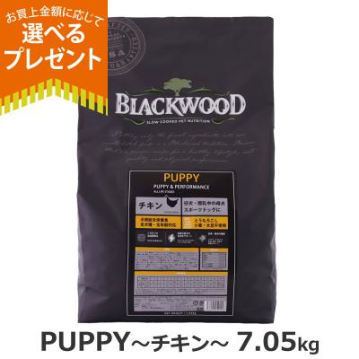 ブラックウッドのおすすめ人気商品一覧 通販 - Yahoo!ショッピング