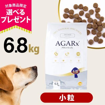 ドッグフード｜犬用品｜ペット用品、生き物 おすすめ人気商品 通販