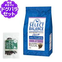 【順次、原材料等の表記変更】セレクトバランス アダルト ラム小粒 3kg ＋国産鹿肉ジャーキー(お試しサイズ) 羊 成犬 コエンザイムQ10 | ドッグパラダイスぷらすニャン別館