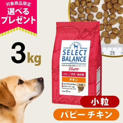 ドッグパラダイスぷらすニャン - セレクトバランス｜Yahoo!ショッピング