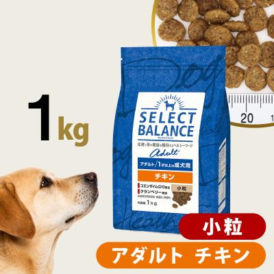 ドッグパラダイスぷらすニャン - セレクトバランス｜Yahoo!ショッピング