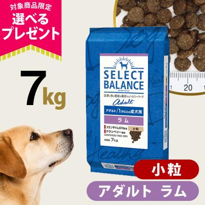 ドッグパラダイスぷらすニャン - セレクトバランス｜Yahoo!ショッピング