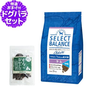 セレクトバランス アダルト ラム 中粒 商品一覧 - ドッグパラダイス