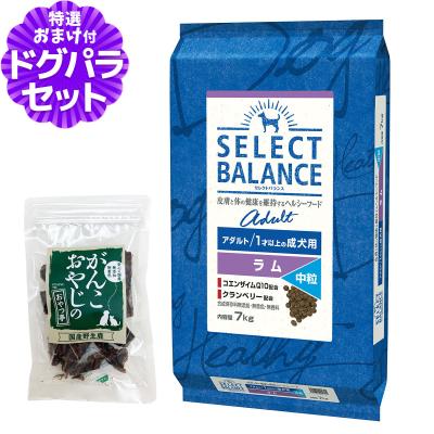 セレクトバランス アダルト ラム 中粒 商品一覧 - ドッグパラダイス