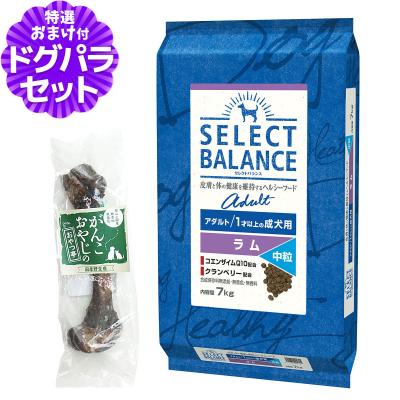 セレクトバランス アダルト ラム 中粒 商品一覧 - ドッグパラダイス