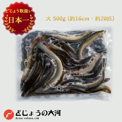 冷凍アフリカツメガエルのおすすめ人気商品一覧 通販 - Yahoo!ショッピング