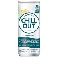 CHILLOUT チルアウト ストレス&amp;疲労感ケア 250ml缶　1ケース（30本）セット | DON online shop