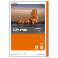 日本ノート　かんがえる学習帳　がくしゅうちょう　ノート　国語　小学生　宿題　こくご　１７行 | どっとカエールプラスワン