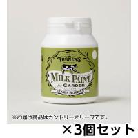 ターナー　ミルクペイント　ｆｏｒ　ガーデン　２００ｍｌ　１セット（３個） 色番３２４（カントリーオリーブ） | どっとカエールプラスワン