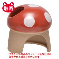 【在庫限定】　三晃商会　ＷＩＬＤ　素焼きハウス　きのこ　ペット用品　ハムスター　照度物　ハウス　容器　素焼き　可愛い　きのこ | どっとカエール