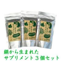 アーダン(Adan) 絹から生まれたサプリメント アクティブキープ 160g（詰め替え用）3個セット | 良品キャラバン